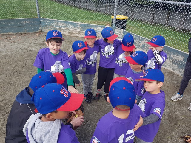 WLL-Minis WLL-Minis