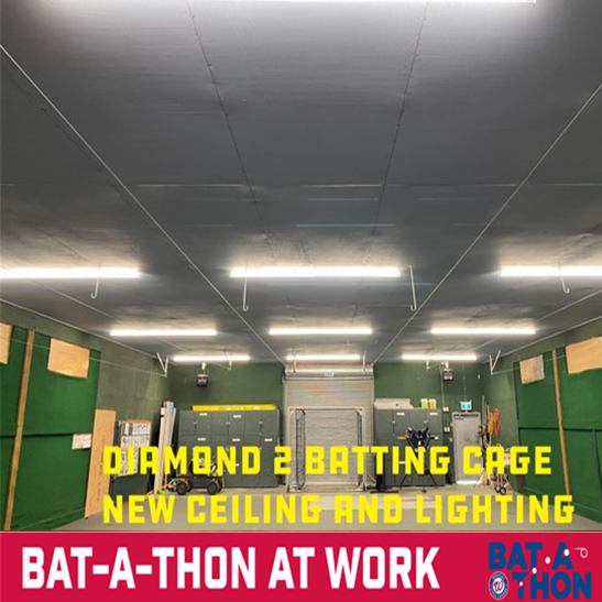 BATTING CAGE INTERIOR